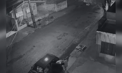 Vídeo mostra homem abandonando filhote de cão em Arapongas; veja