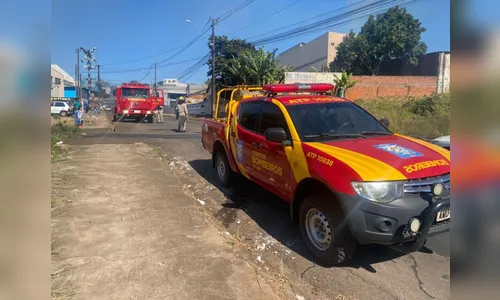 Incêndio ambiental mobiliza Corpo de Bombeiros em Apucarana; vídeo