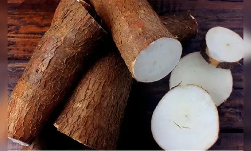 Dona de sítio pega ladrão de mandiocas no flagra e chama a PM