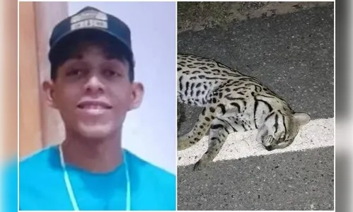 Motociclista atropela onça, cai e é morto atingido por caminhão