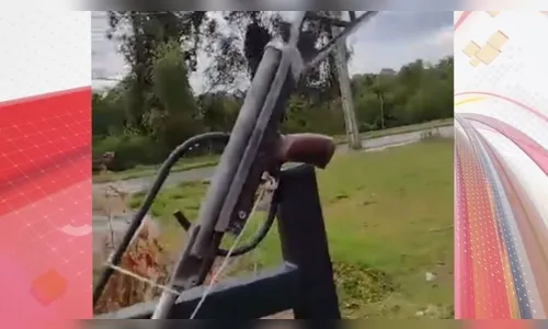 Homem monta armadilha em lixeira para matar cavalo no PR; vídeo
