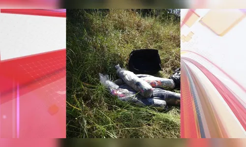 Idosa mata marido com veneno de rato, o esquarteja e abandona corpo