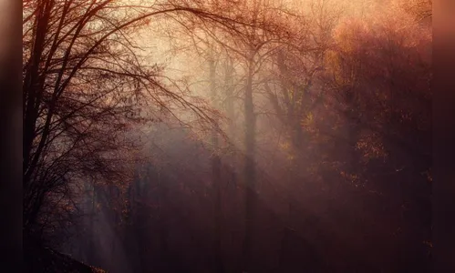 Domingo de tempo estável em Apucarana e região; veja a previsão