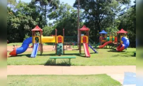 Onça é flagrada em mata ao lado do parquinho no Lago Jaboti; veja