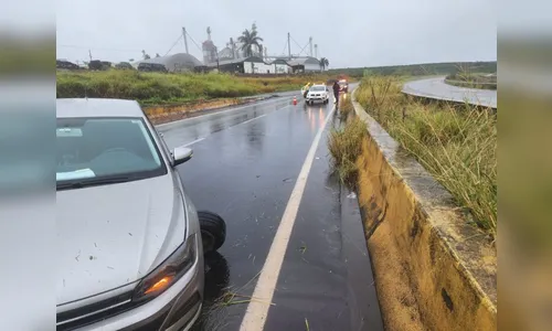Motorista perde o controle e bate contra defensa na BR 376; veja
