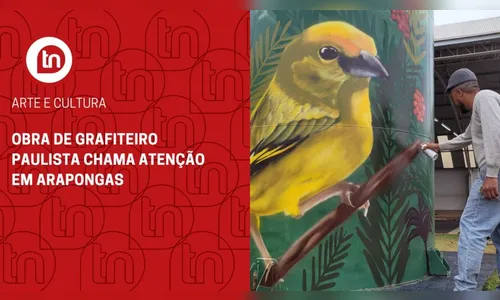 Obra de grafiteiro paulista chama atenção em Arapongas; veja