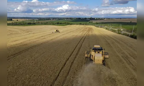 PIB do Paraná cresce 9,16% no 1º trimestre de 2023