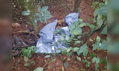 Crânio é encontrado durante buscas por criança em parque de Londrina