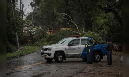 Ciclone provoca quatro mortes no Rio Grande do Sul