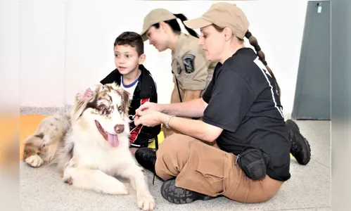 Projeto da PM de Apucarana é finalista de prêmio nacional; saiba mais