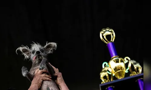 Saiba quem é Scooter, eleito o 