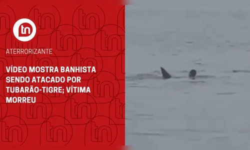 Vídeo mostra banhista sendo atacado por tubarão-tigre; vítima morreu