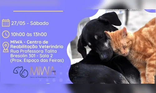 Apucarana promove feira de adoção de cães e gatos neste sábado