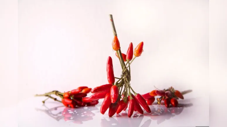 Imagem ilustrativa da notícia “Pimenta nos olhos dos outros é refresco”