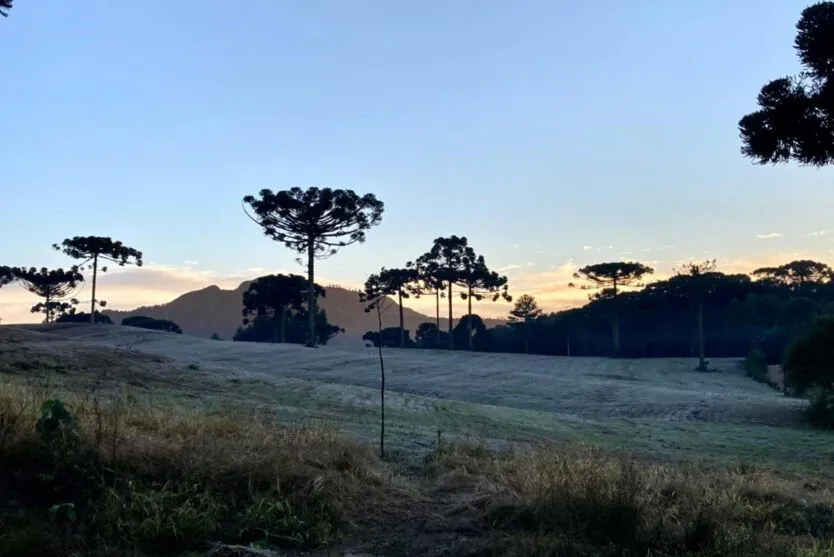 Aplicativo informa a quantidade acumulada de horas de frio ao longo do ano em diversos municípios paranaenses