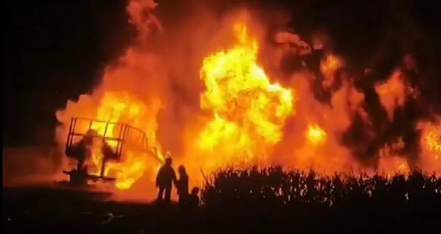 As chamas atingiram uma plantação de milho às margens da rodovia