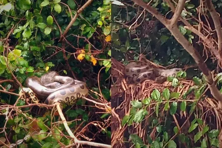 O encontro ocorreu no último domingo