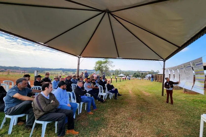 Os participantes também puderam discutir com especialistas