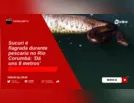 Sucuri é flagrada durante pescaria no Rio Corumbá: 'Dá uns 8 metros'