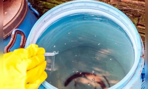 Foz do Iguaçu confirma a vigésima morte por dengue em 2023; saiba mais