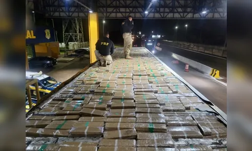 Homem é preso com duas toneladas de maconha e pula da viatura da PRF