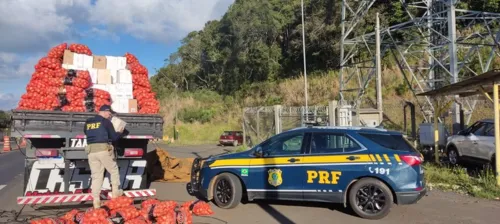 A apreensão ocorreu no último sábado