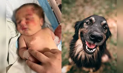 Cachorro de rua encontra bebê abandonada em saco de lixo