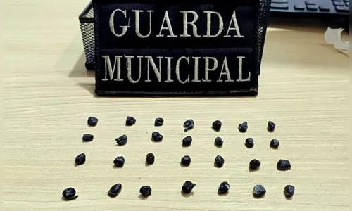 Após denúncia, GM de Arapongas apreende 28 pedras de crack