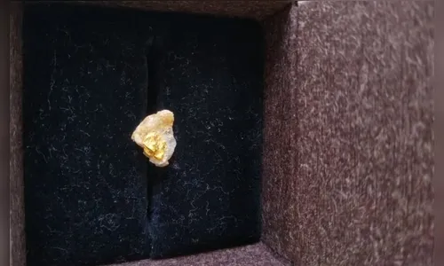 Aluno encontra ouro em mina desativada durante excursão escolar