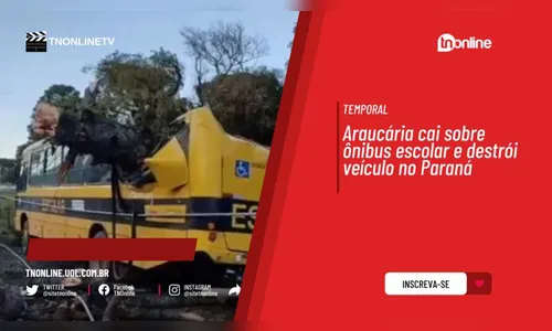 Araucária cai sobre ônibus escolar e destrói veículo no Paraná