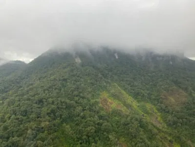 Área de Mata Atlântica onde autoridades buscam avião desaparecido no Paraná.