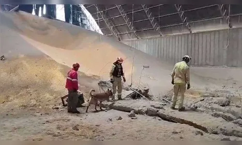 Vídeo mostra buscas em silo com 10 mil toneladas de milho no PR; veja