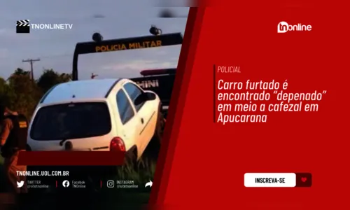 Carro furtado é encontrado “depenado” em meio a cafezal em Apucarana