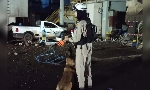 Governo do Paraná lamenta mortes e explosão em cooperativa de Palotina