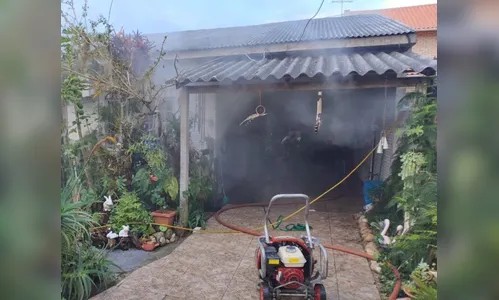 Incêndio em residência mata quatro cachorros e deixa idosa ferida