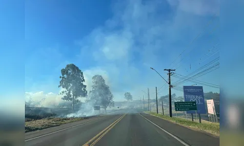 Incêndio às margens da Avenida Brasil mobiliza bombeiros em Apucarana