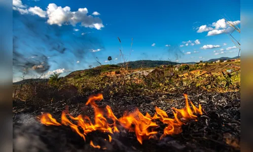 Araponguense é multado em mais de R$ 6 mil por colocar fogo em terreno