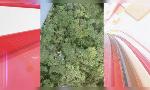 Vídeo mostra destroços do avião que sumiu com três ocupantes no Paraná
