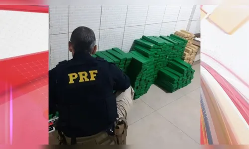 PRF apreende 270 kg de maconha com casal de jovens na BR-369