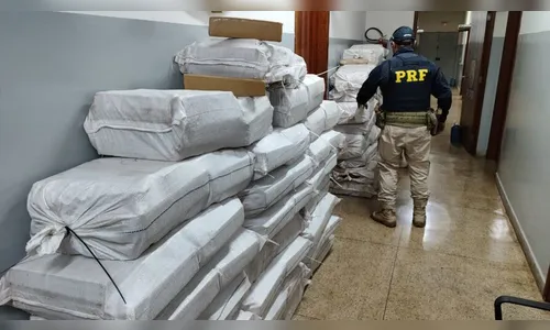 PRF apreende mais de uma tonelada de maconha no Norte Pioneiro