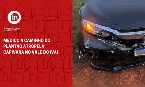 Médico a caminho do plantão atropela capivara no Vale do Ivaí