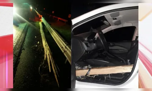 Corpo de Bombeiros é chamado após galho atravessar carro na BR-376