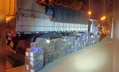 PM apreende 3,1 toneladas de maconha em duas ações no Oeste do PR