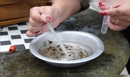 Londrina confirma 29ª morte causada por dengue