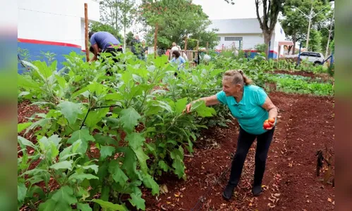 Apucarana vai ampliar ações para pessoas com 60 anos ou mais