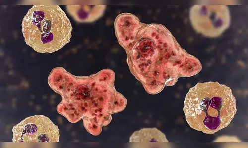'Ameba comedora de cérebro' mata mais uma pessoa nos Estados Unidos