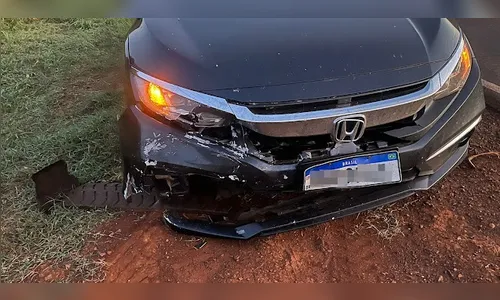 Médico a caminho do plantão atropela capivara no Vale do Ivaí