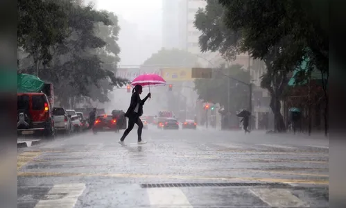 Com chuvas intensas previstas; saúde alerta cuidados contra doença