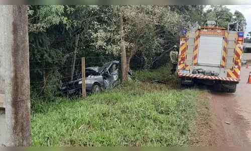 Idoso perde controle de carro em curva e morre ao colidir em árvore