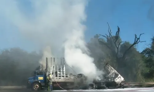 Caminhão que transportava pneus pega fogo e interdita trecho da PR-467